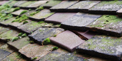 Water Newton roof repair costs